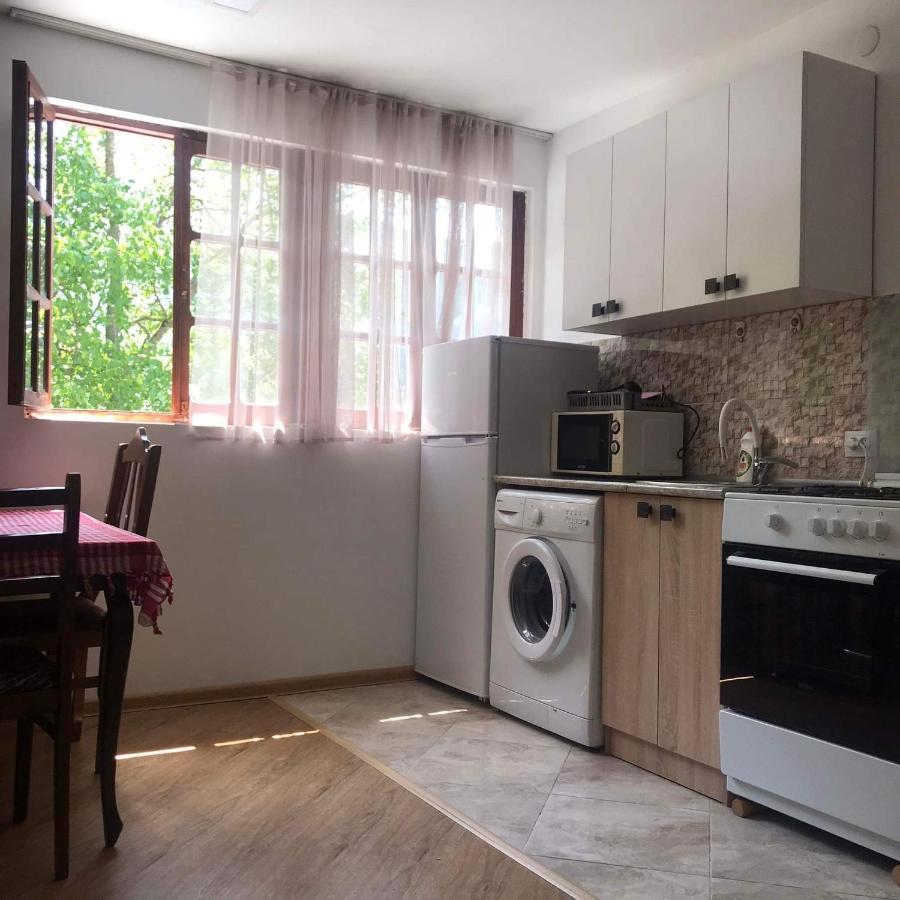Zviad Guest House Borjomi Eksteriør billede