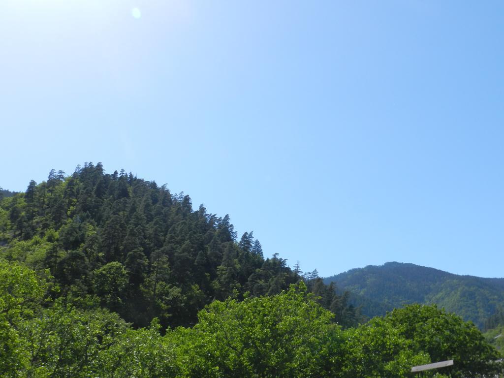 Zviad Guest House Borjomi Eksteriør billede